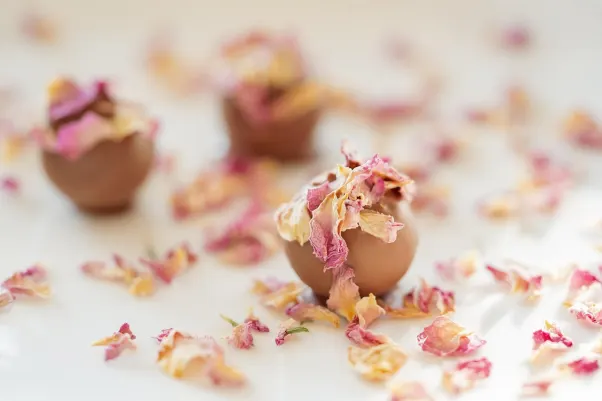 Cresus Kasino Android/iOS Aplikácia